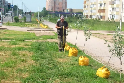 Проведен очередной этап природоохранных мероприятий