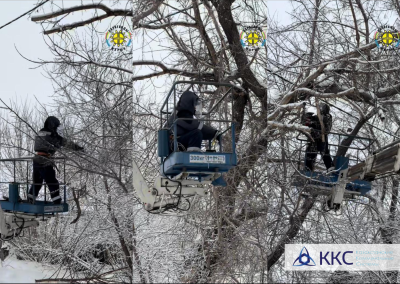 «Караганды Жарык» провело работы по обрезке веток деревьев