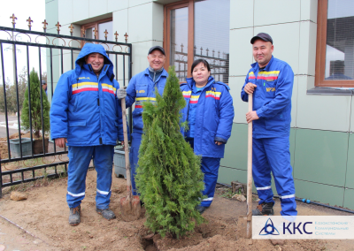 «Таза Қазақстан»: энергетики АО «МРЭК» высадили деревья